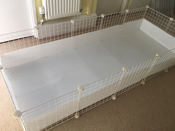 Modular C&C cage for guinea pigs with a coroplast insert