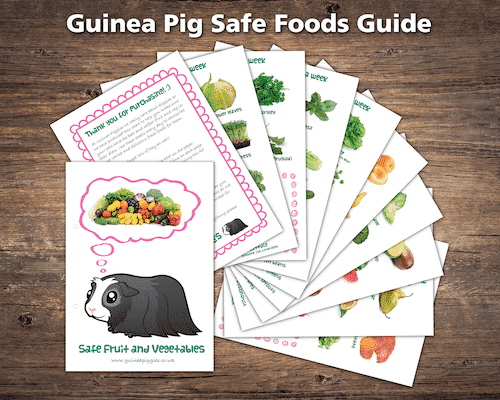 guinea pig fruit and veg sheets pdf