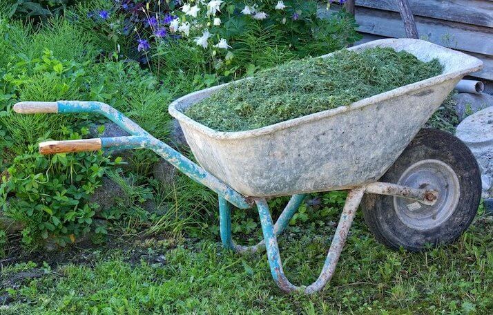 old wheelbarrow filled with grass clippings in a wild garden