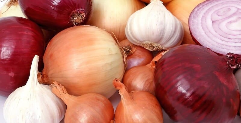 red and white onions and garlic bulbs